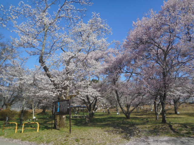 写真は５月の宮田高原です。